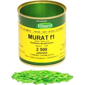 Vilmorin Murat F1 2500 Çekirdek Hibrit Oturak Hıyar Tohum