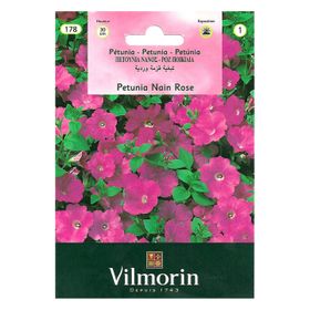 Vilmorin Pembe Renkli Kısa Petunya Tohumu