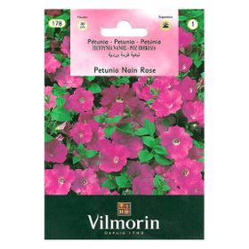 Vilmorin Pembe Renkli Kısa Petunya Tohumu