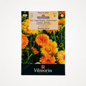 Vilmorin Portakal Nergisi Tohumu