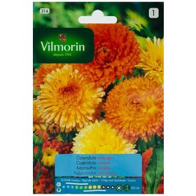 Vilmorin Portakal Nergisi Tohumu