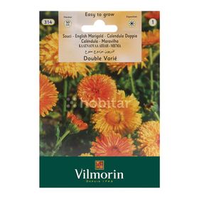Vilmorin Portakal Nergisi Tohumu