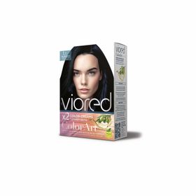 Viored Color Art Mavi Siyah 1.1 Set Boya