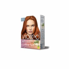 Viored Color Art Tarçın Bakırı 8.45 Set Boya