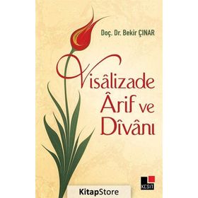 Visalizade Arif ve Divanı - Bekir Çınar