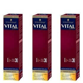 Vital 3-65 Çikolata Kahve 3x60 ml Saç Boyası