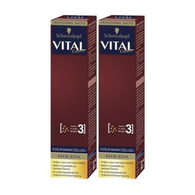 Vital Colors 6-66 Altın Çikolata 2x60 ml Krem Saç Boyası