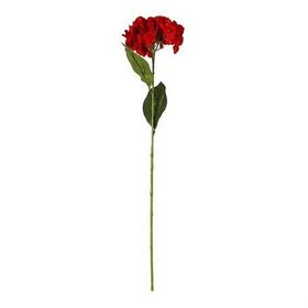 Vitale AK.BG0134-K Kırmızı Ortanca Çiçek