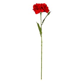 Vitale AK.BG0134-K Kırmızı Ortanca Çiçek