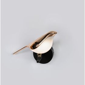 Vitale AY.VWL-0009 Kuşlu Aplik