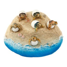 Vitale Pretty Kumda Carette Caretta Kaplumbağalar Biblo