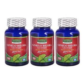 Vitapol Ginkgo Biloba Lecithin 100 Kapsül