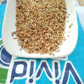 Vivid Bird 1 kg Karışık Muhabbet Kuşu Yemi