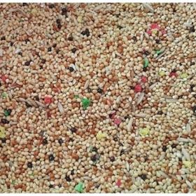 Vivid Bird 1 kg Karışık Muhabbet Kuşu Yemi
