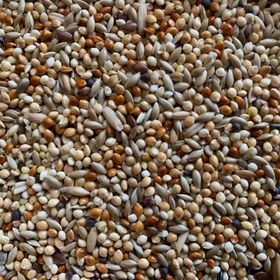 Vivid Bird 1 kg Premium Muhabbet Kuşu Yemi