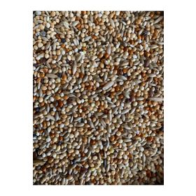 Vivid Bird 1 kg Premium Muhabbet Kuşu Yemi