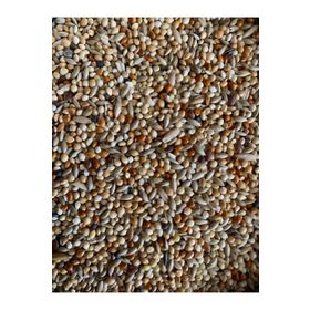 Vivid Bird 1 kg Premium Muhabbet Kuşu Yemi