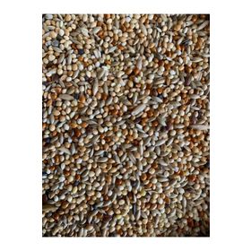 Vivid Bird 1 kg Premium Muhabbet Kuşu Yemi