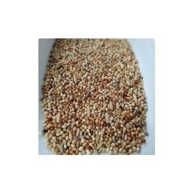 Vivid Bird 20 kg Karışık Muhabbet Kuşu Yemi