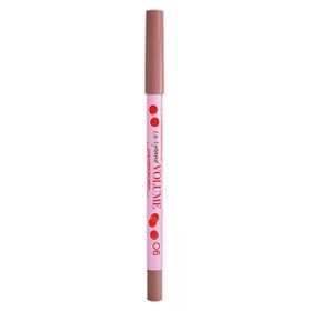 Vivienne Sabo Le Grand Volume Gel 06 Natural Pink Precise Definition Long Lasting Wear Lipliner