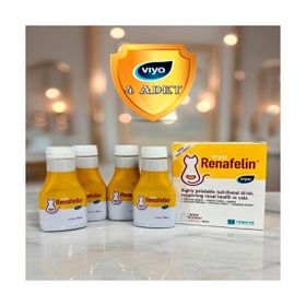 Viyo Renafelin 4 Adet 150 ml Böbrek Destekleyici