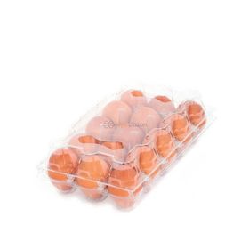Viyol Pazarı 200 Adet 15'li Plastik Yumurta Viyolü