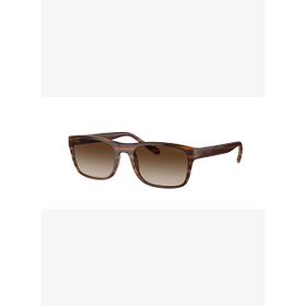 Vogue 0VO5547SI 257113 53 Erkek Güneş Gözlüğü