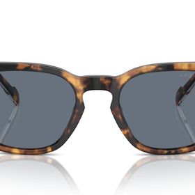 Vogue 5571S 28194Y Erkek Güneş Gözlüğü