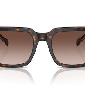 Vogue VO5573S Kare Kahverengi 55 mm Erkek Güneş Gözlüğü