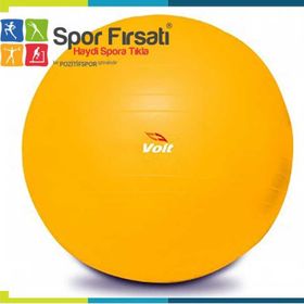 Voit 55 Cm Gri Jimnastik Topu