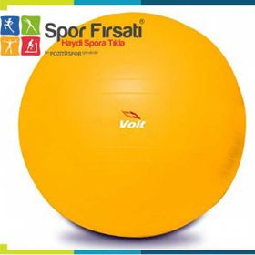 Voit 55 Cm Gri Jimnastik Topu