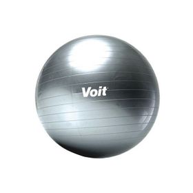 Voit 65 Cm Gri Gymball