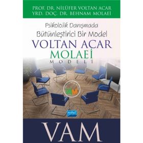 Voltan Acar - Molaei Vam Modeli - Psikolojik Danışmada Bütünleştirici Bir Model - Nilüfer Voltan Acar Behnam Molaei