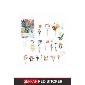 Vox Art Vintage Şeffaf 4-8 cm 40 Adet Pet Sticker
