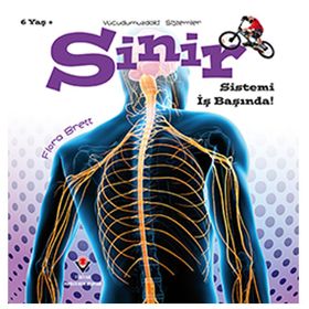 Vücudumuzdaki Sistemler - Sinir Sistemi İş Başında! - Kolektif