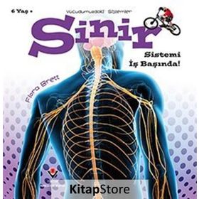 Vücudumuzdaki Sistemler - Sinir Sistemi İş Başında! - Kolektif