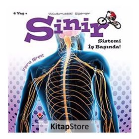 Vücudumuzdaki Sistemler - Sinir Sistemi İş Başında! - Kolektif