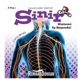 Vücudumuzdaki Sistemler - Sinir Sistemi İş Başında! - Kolektif