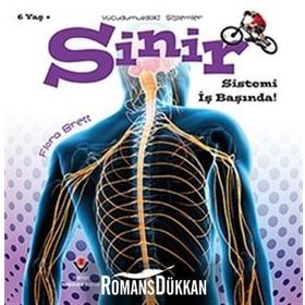 Vücudumuzdaki Sistemler - Sinir Sistemi İş Başında! - Kolektif