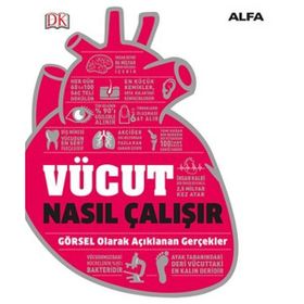 Vücut Nasıl Çalışır? - Alfa Yayıncılık