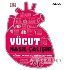 Vücut Nasıl Çalışır? - Alfa Yayıncılık