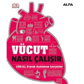 Vücut Nasıl Çalışır? - Alfa Yayıncılık