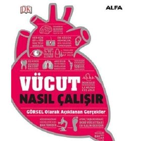 Vücut Nasıl Çalışır? - Alfa Yayıncılık