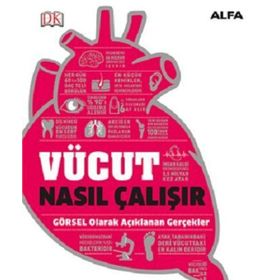 Vücut Nasıl Çalışır? - Alfa Yayıncılık