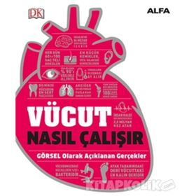 Vücut Nasıl Çalışır? - Alfa Yayıncılık