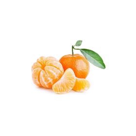 W.Murcott Mandalina Fidanı