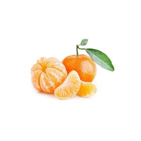 W.Murcott Mandalina Fidanı