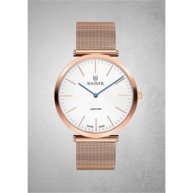 Wainer WA.11321-A Erkek Kol Saati