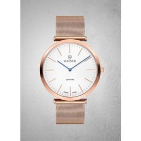 Wainer WA.11321-A Erkek Kol Saati