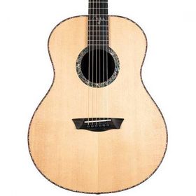 Washburn Bella Tono Elegante S24s Akustik Gitar